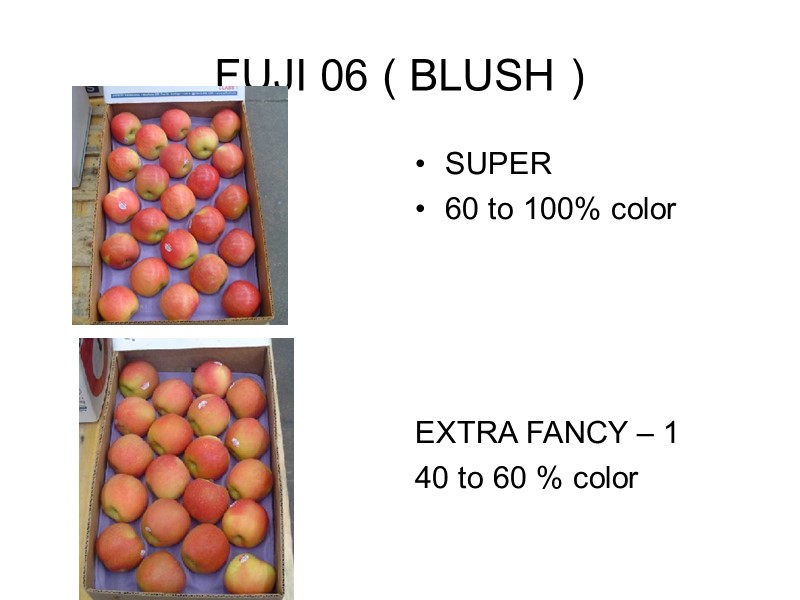 FUJI 06 ( BLUSH ) SUPER 60 to 100% color    